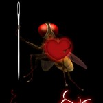 インド映画「マッキー / Eega」ポスター２